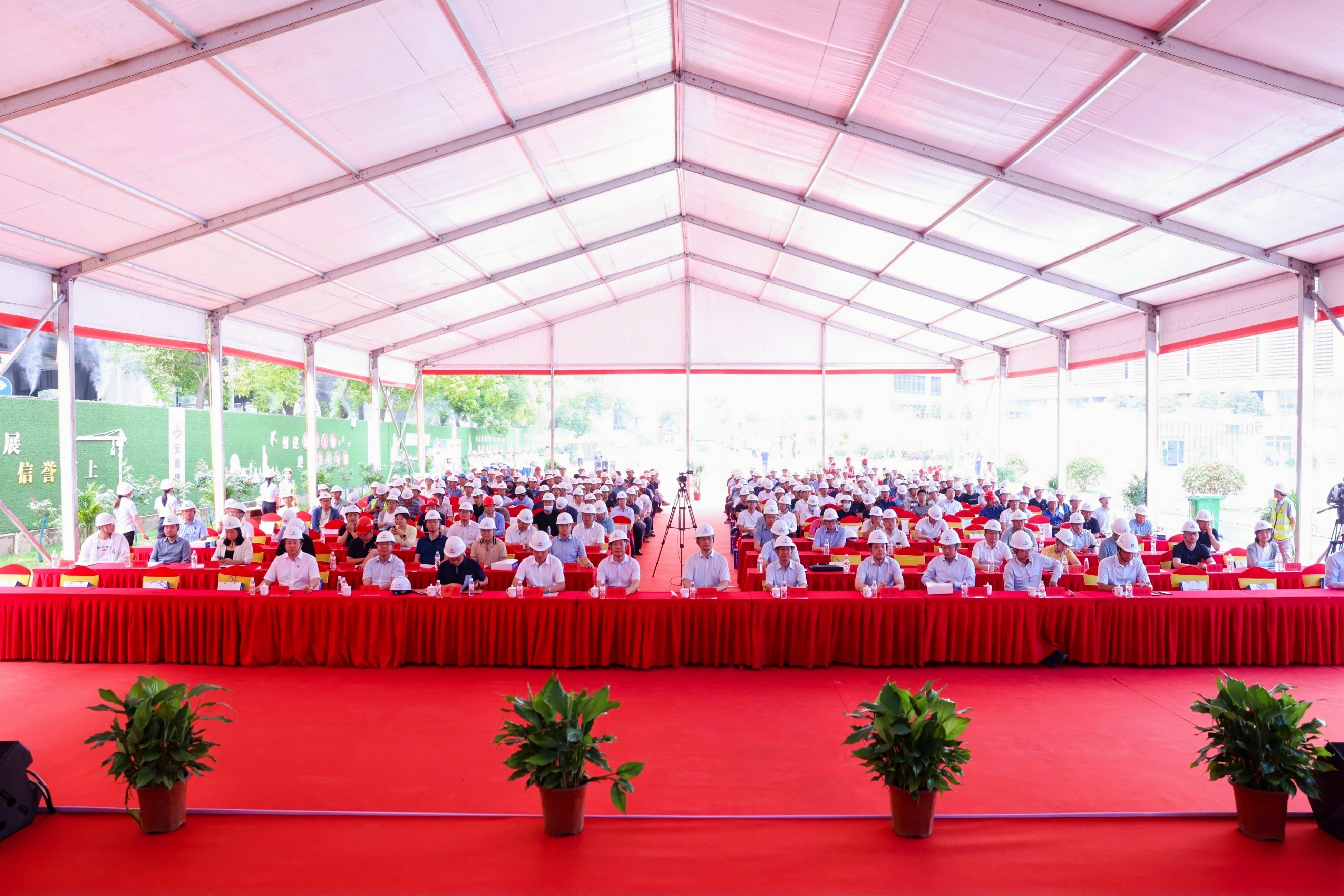 IMG_8967.JPG IMG_8967.JPG